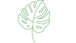 la p'tite maison bio